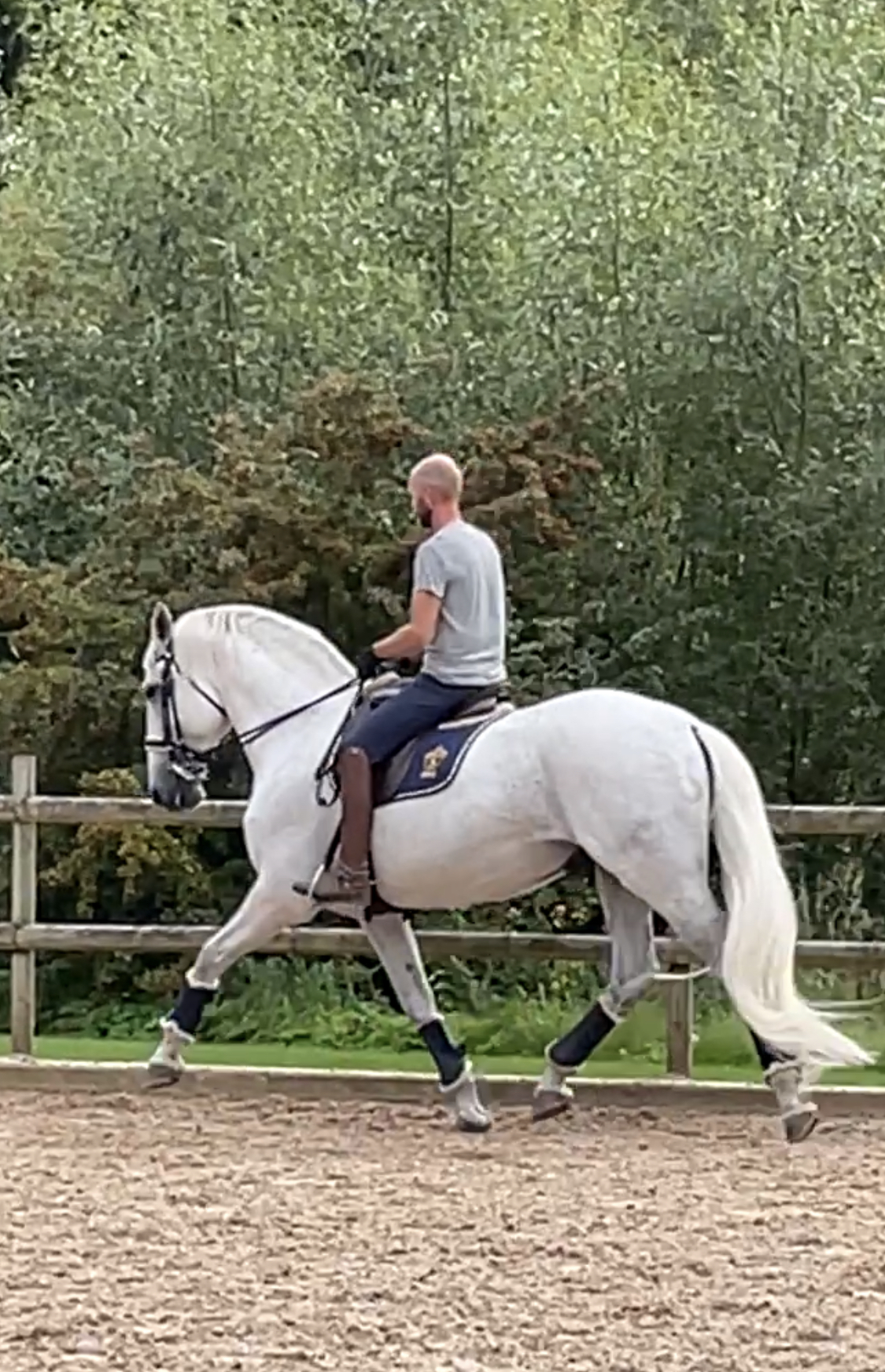 Mattias Jansson och Seneca (Dressyr)